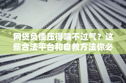济南网贷负债压得喘不过气？这些合法平台和自救方法你必须知道！